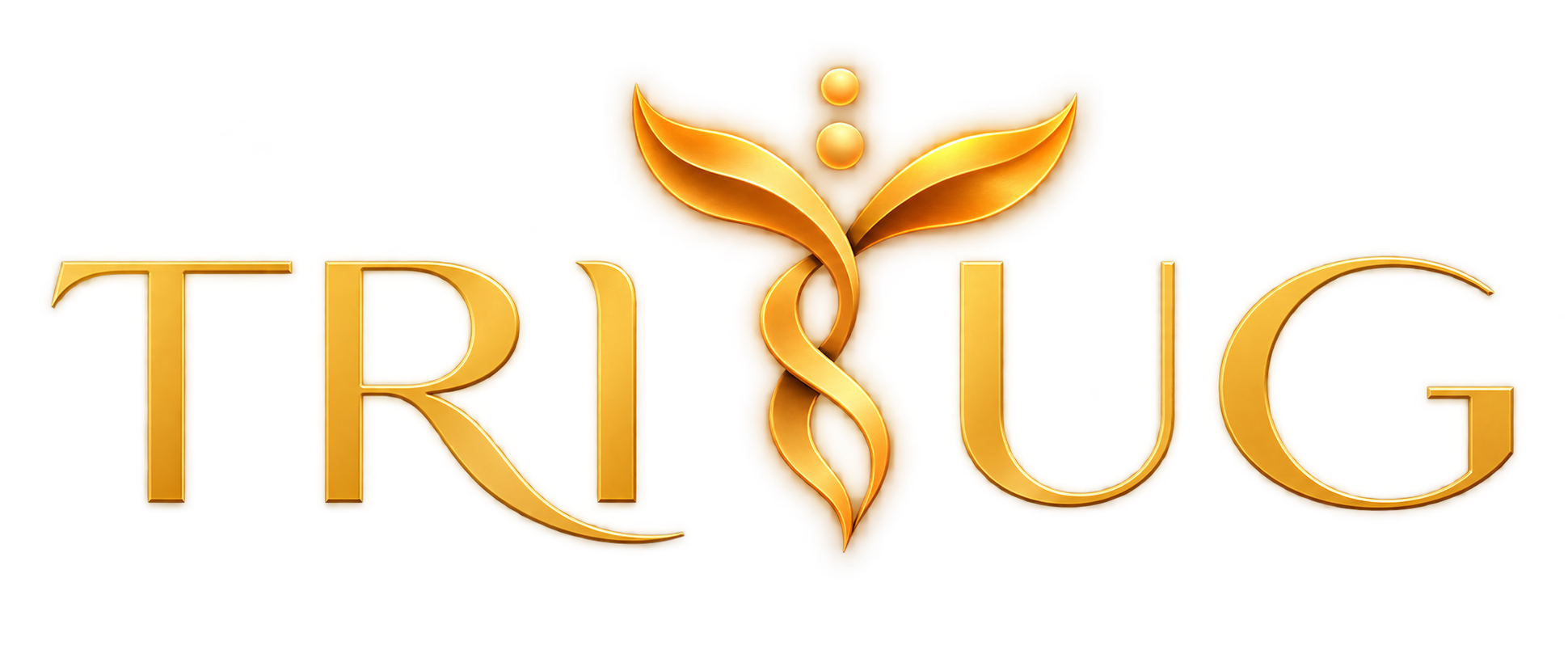TRIYUG Logo